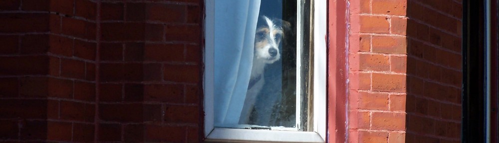 The World According to Carolyn